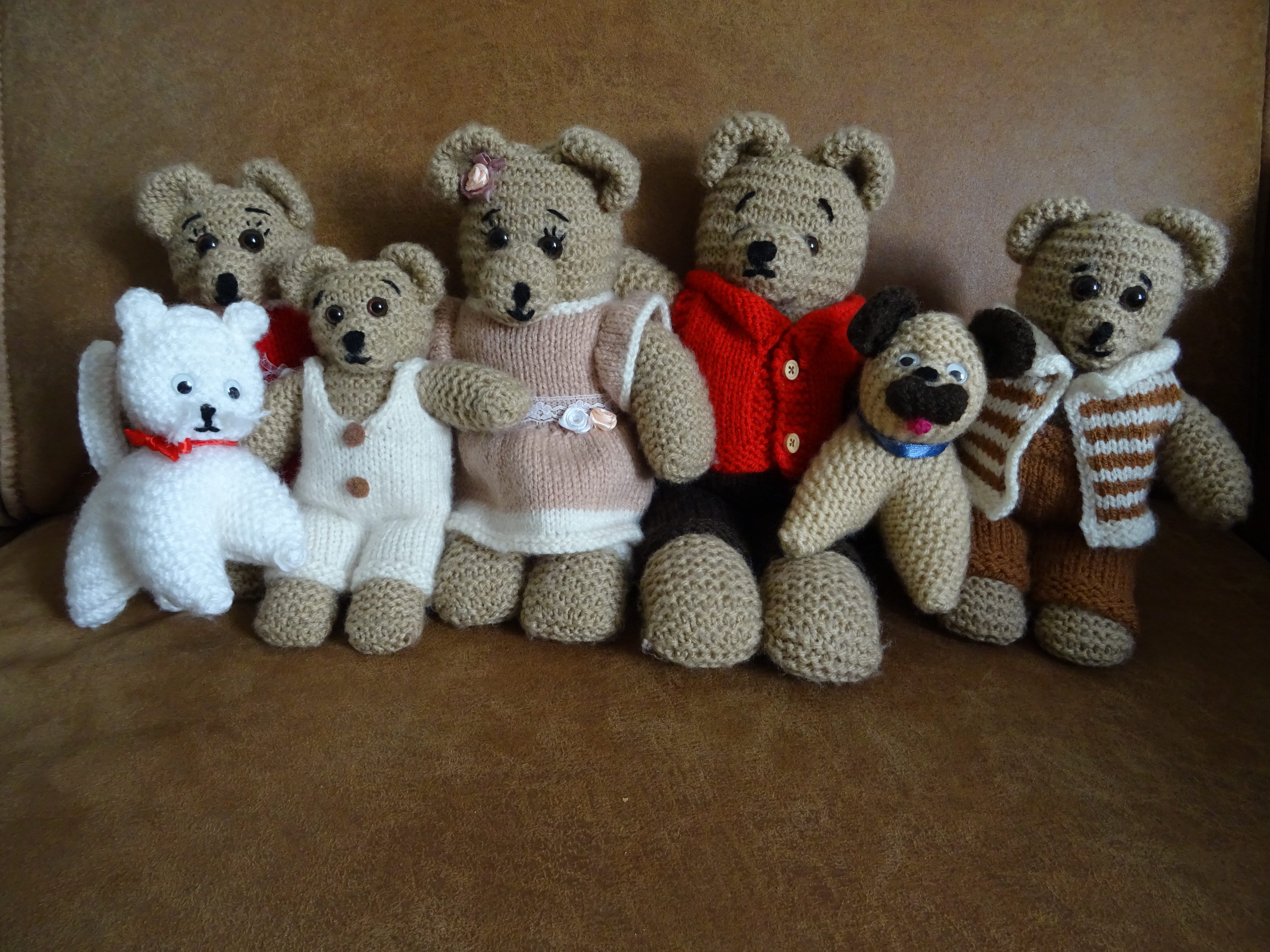 Vijf knuffelberen, twee grotere en drie kleinere, die een gezin voorstellen. Pa en ma met drie kinderen. Ze hebben allemaal kleren aan. Er zijn ook een knuffelhondje en een knuffelpoesje.